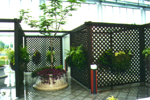 実績