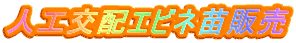 lHzGrlc̔
