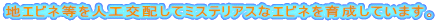 nGrllHză~XeAXȃGrl琬Ă܂B