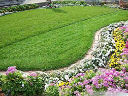 p-sh1636.jpg (32142 バイト)