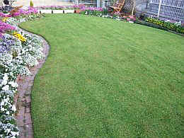 p-sh1642.jpg (28493 バイト)