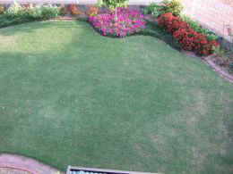 p-sh1741.jpg (20861 oCg)