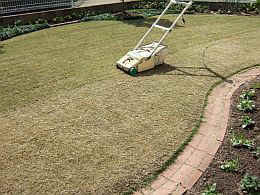 p-sh1763.jpg (29481 oCg)