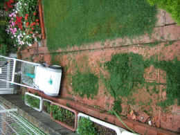 p-sh3293.jpg (64443 oCg)