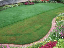 p-sh3294.jpg (62614 oCg)