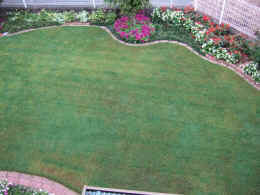 p-sh3296.jpg (59334 oCg)