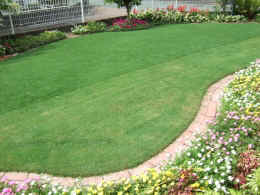 p-sh3301.jpg (63360 oCg)