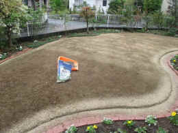 p-sh4204.jpg (75884 バイト)