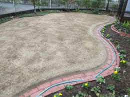 p-sh4205.jpg (76072 バイト)