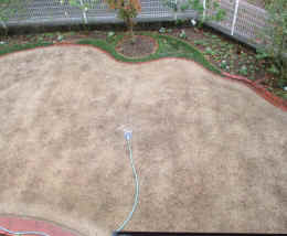 p-sh4206.jpg (76009 バイト)