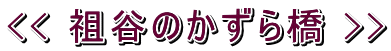 << 祖谷のかずら橋 >> 