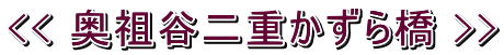 << 奥祖谷二重かずら橋 >> 