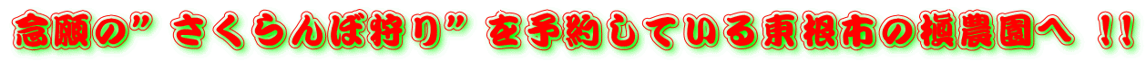 念願の”さくらんぼ狩り”を予約している東根市の槇農園へ !!