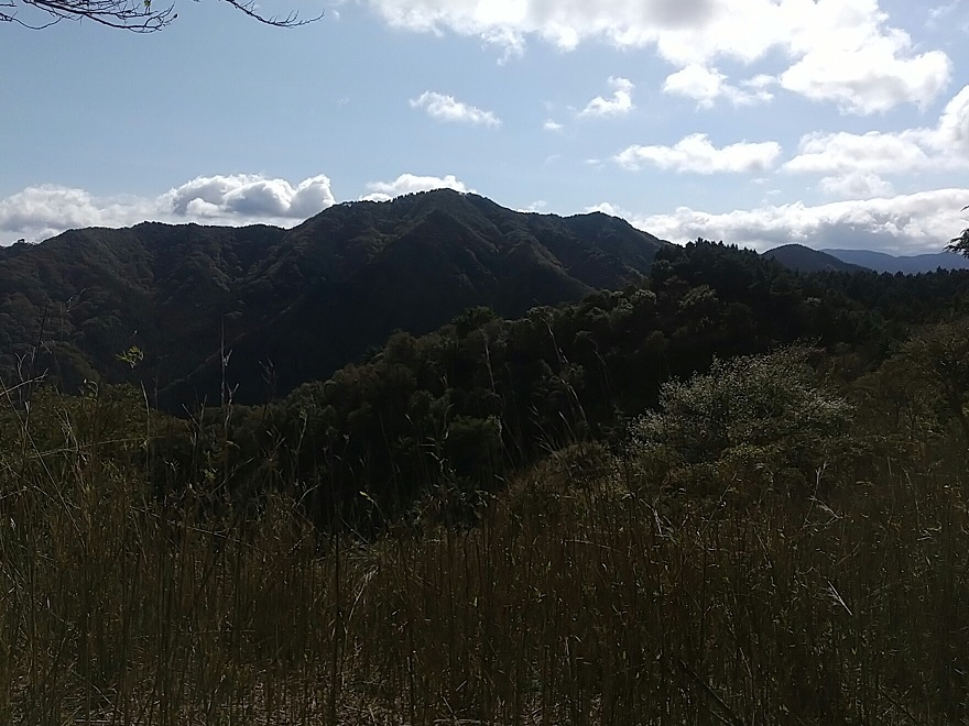 観音岳から堀坂山