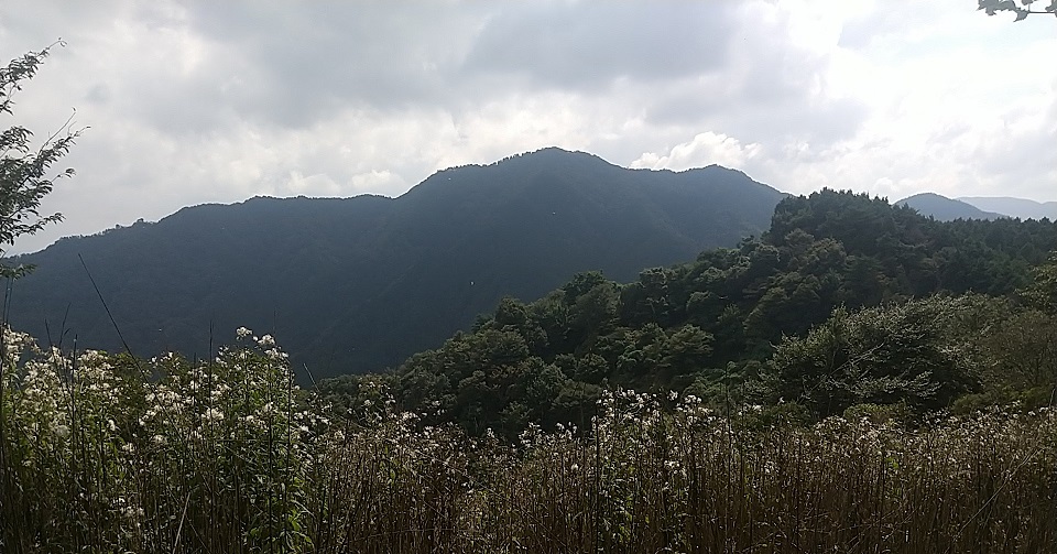 観音岳から堀坂山