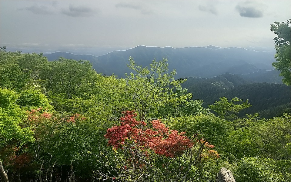 堀坂山から白猪山方面