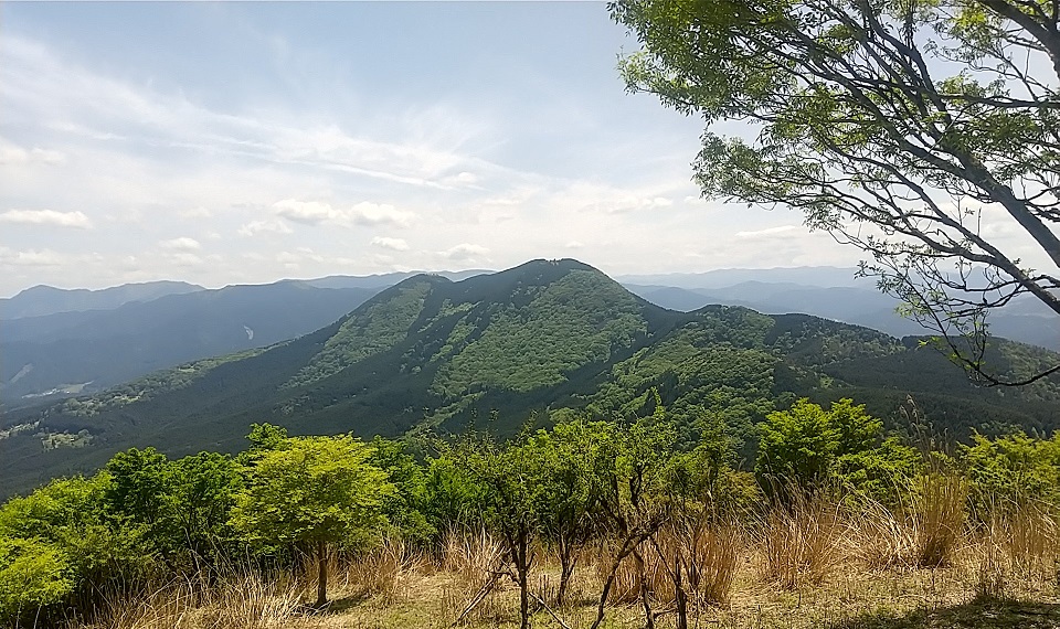 尼ヶ岳から大洞山を望む