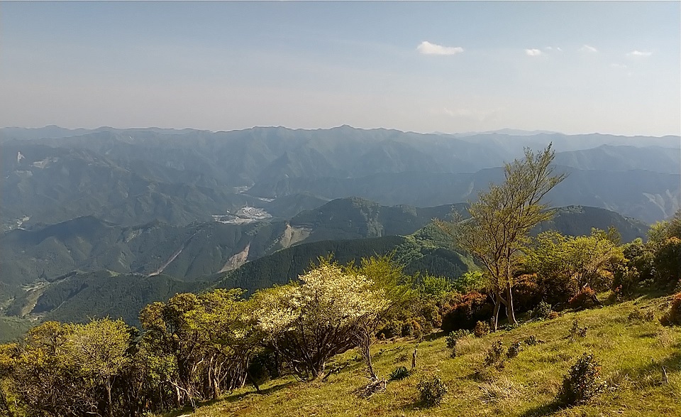 迷岳方面