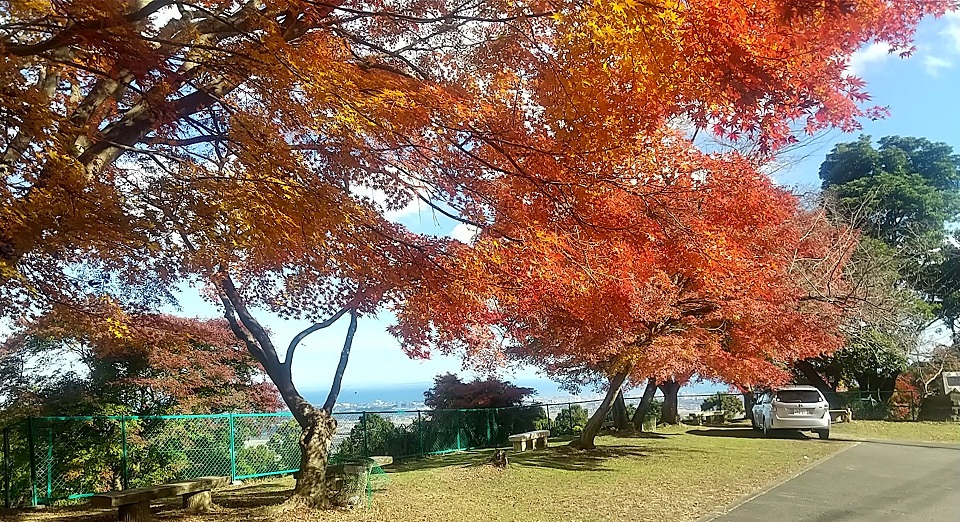 長谷山から