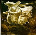 f11-306.jpg