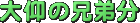̌Z핪