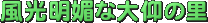 Zȑ̗