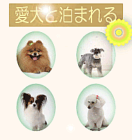 愛犬と泊まれる